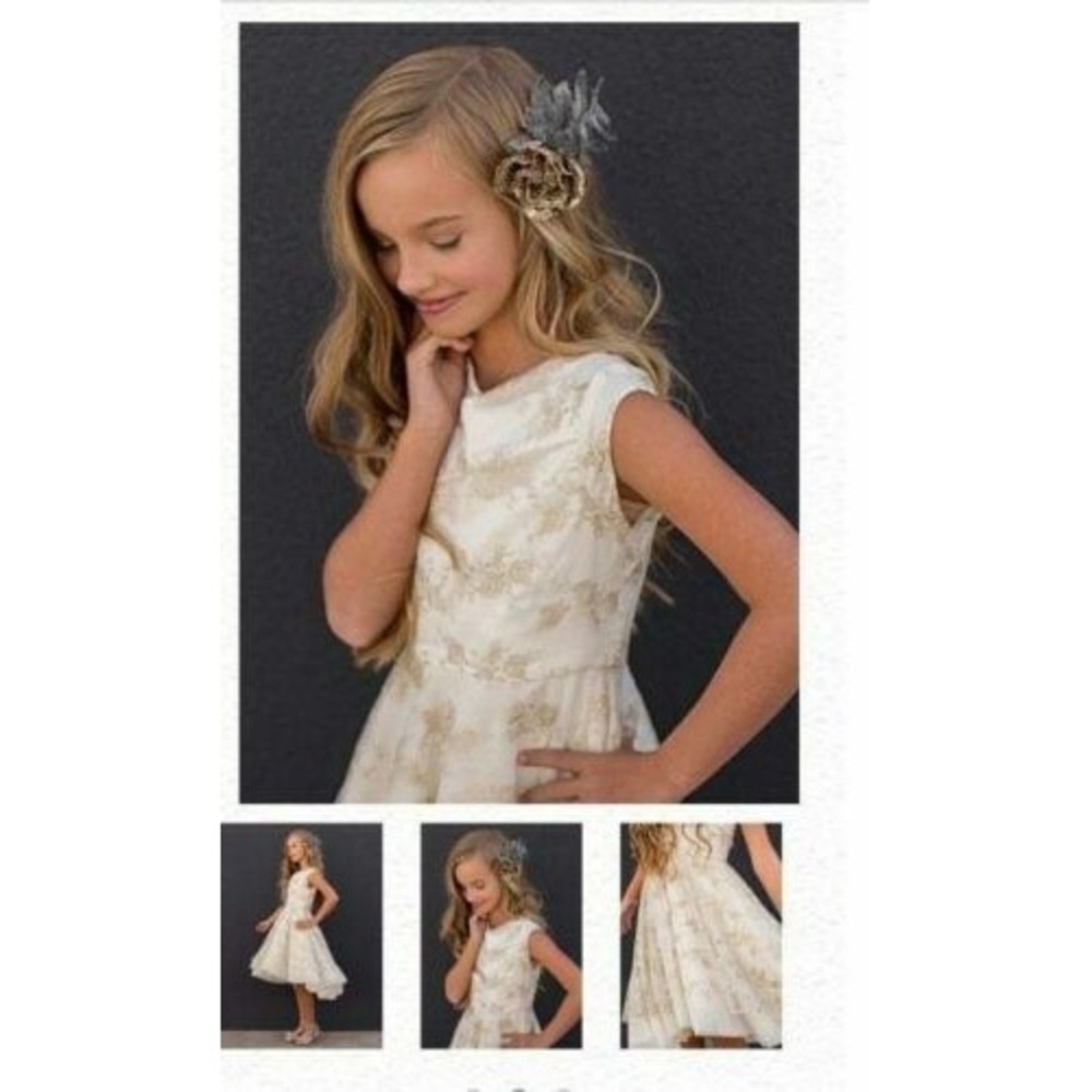 Joyfolie Jacqueline Dress with Gold Lace Size 6
